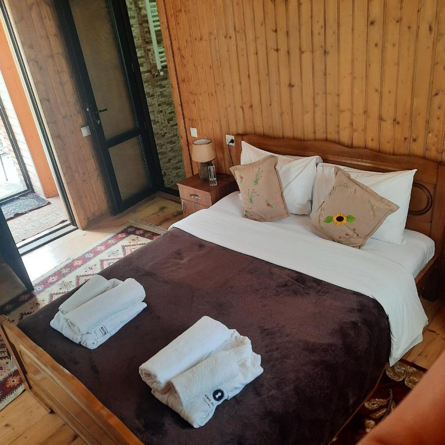 Bana Hotel Kazbegi Ngoại thất bức ảnh