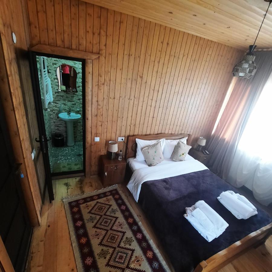 Bana Hotel Kazbegi Ngoại thất bức ảnh