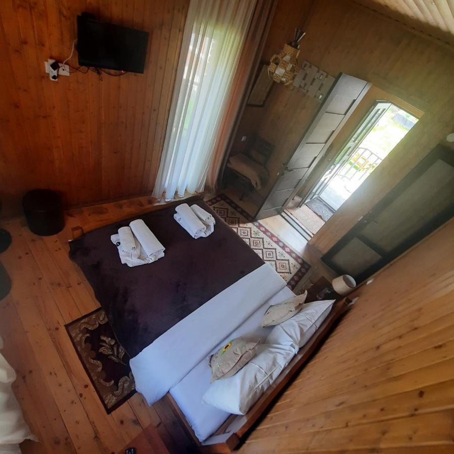 Bana Hotel Kazbegi Ngoại thất bức ảnh