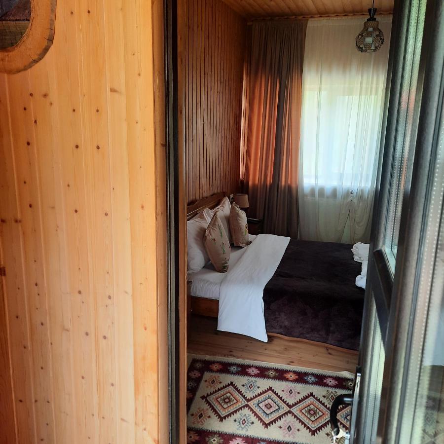 Bana Hotel Kazbegi Ngoại thất bức ảnh