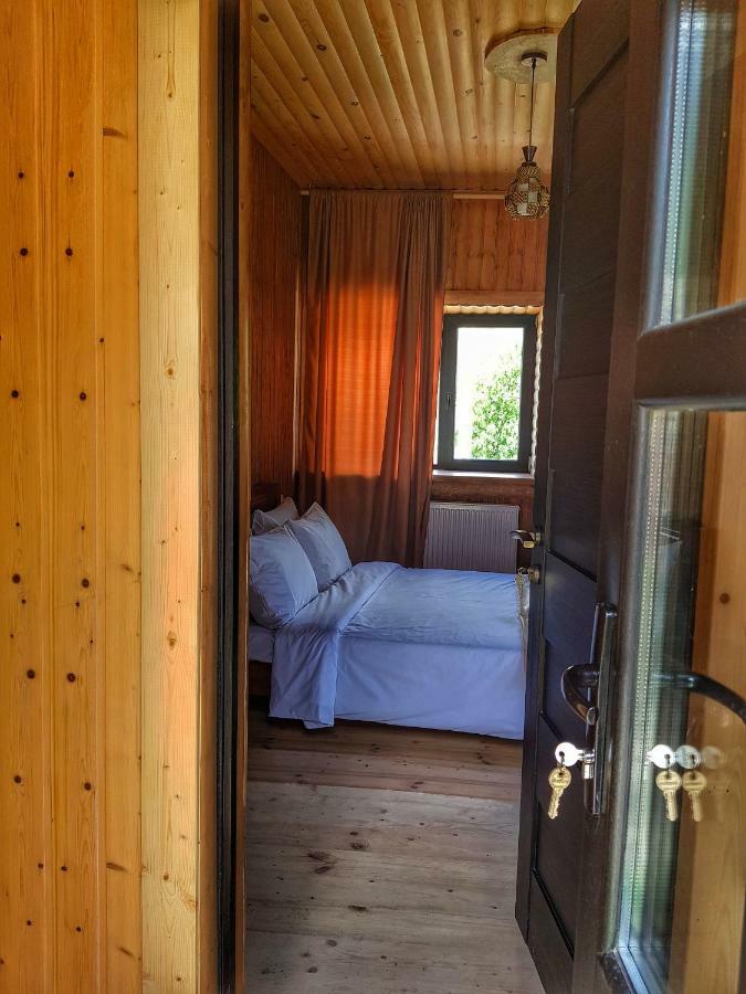 Bana Hotel Kazbegi Ngoại thất bức ảnh