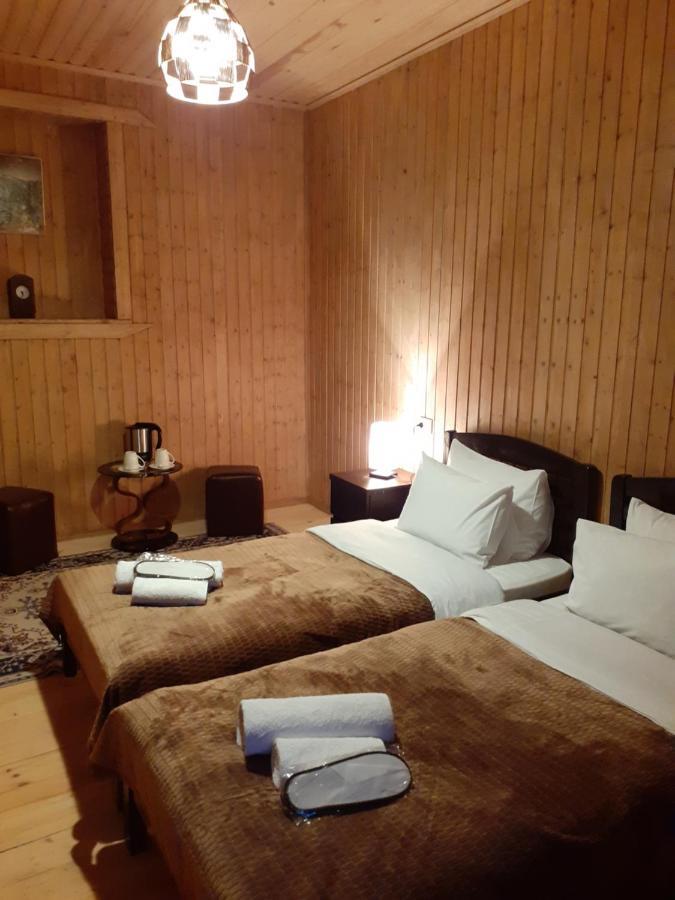 Bana Hotel Kazbegi Ngoại thất bức ảnh