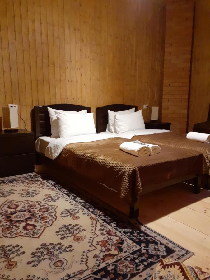 Bana Hotel Kazbegi Ngoại thất bức ảnh